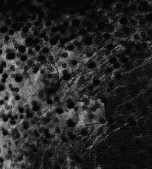 Abysmal Growls Of Despair : Je Serai Terre Avant de Naître